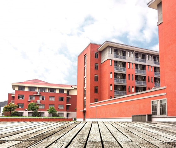 Pure Haldi Glow Cream